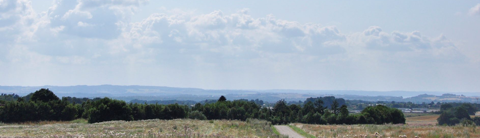Anebjerg Skov Skanderborg
