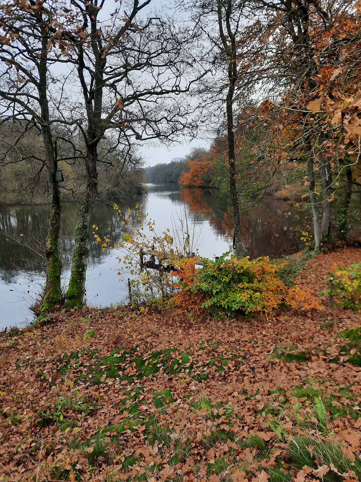EFTERÅRSTUREN 30. OKTOBER