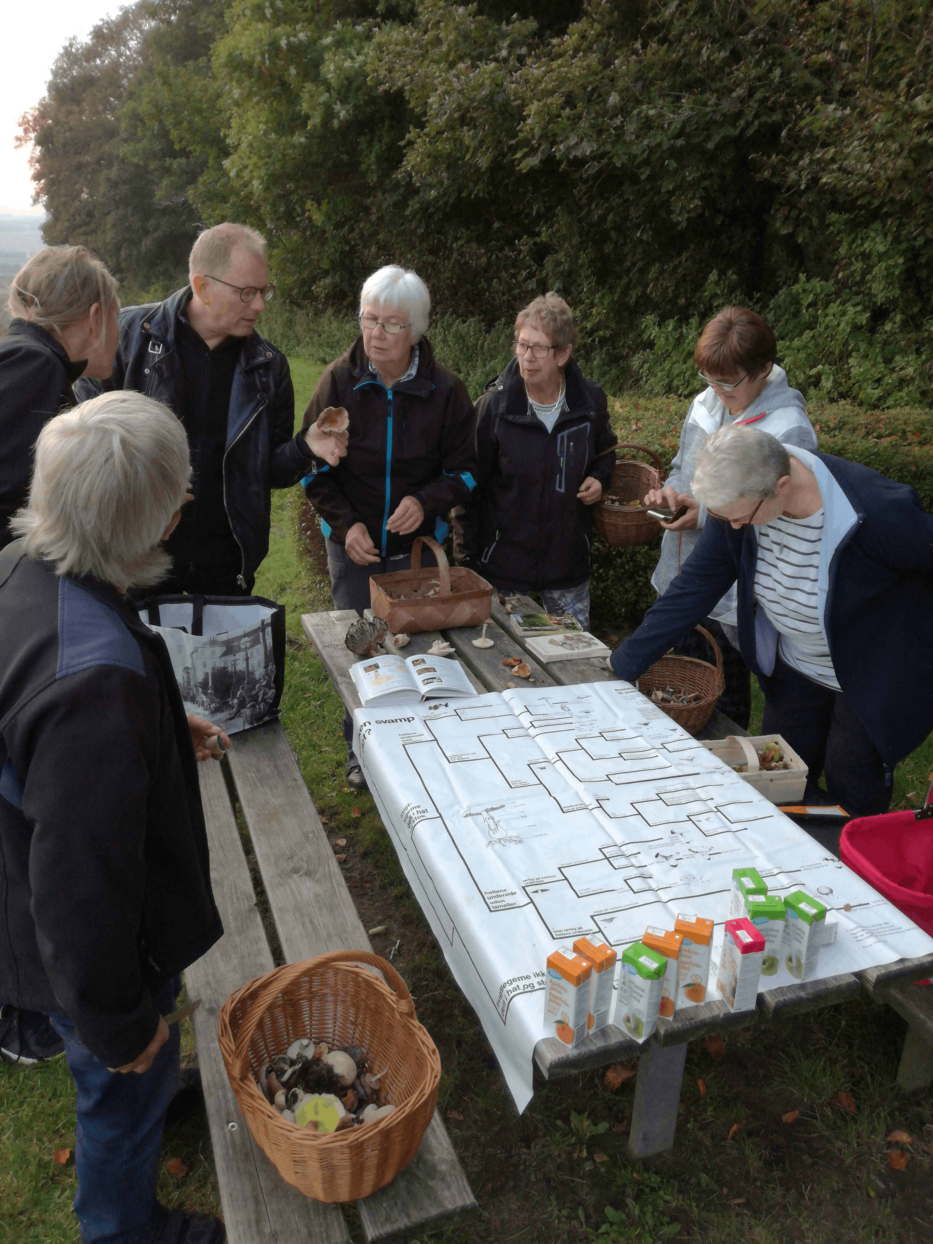 Svampetur til Dørup Skov  d. 23 september - ca. 70 deltog